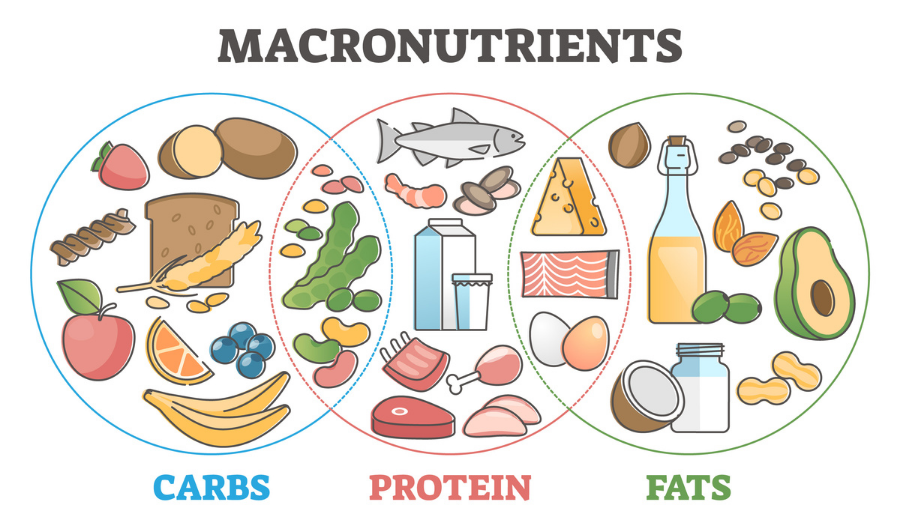 Low Carbohydrate Diet Gastroenterologist In Victoria TX