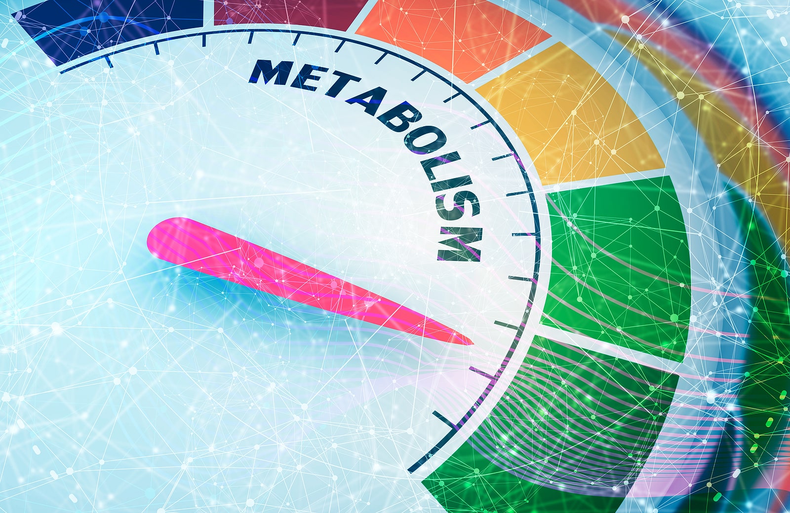Metabolism concept with speedometer graphic design.